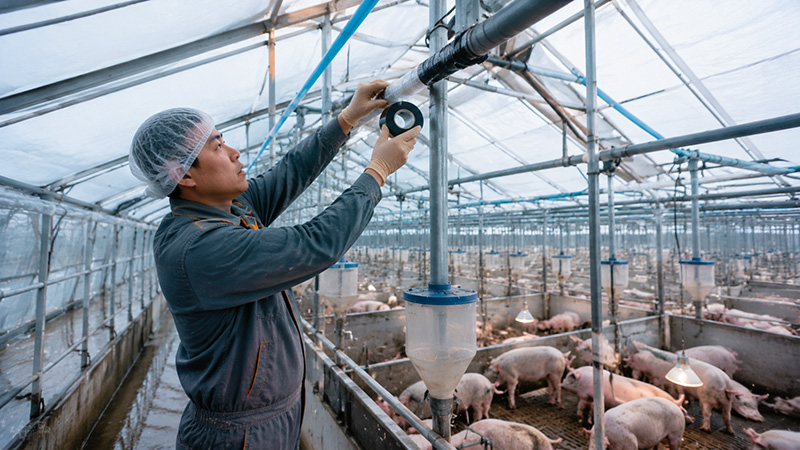 Livestock Farming Maintenance Solution